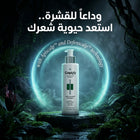 Capixy Anti-dandruff shampoo with 10 powerful ingredients - 250 ml