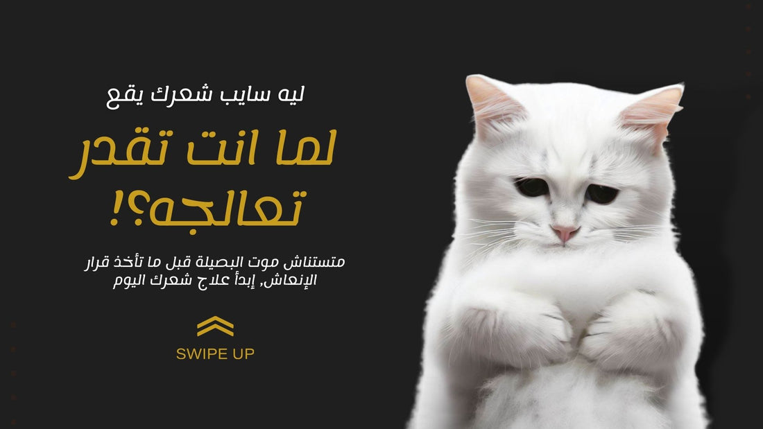 slider image slider_item_g8ip4B