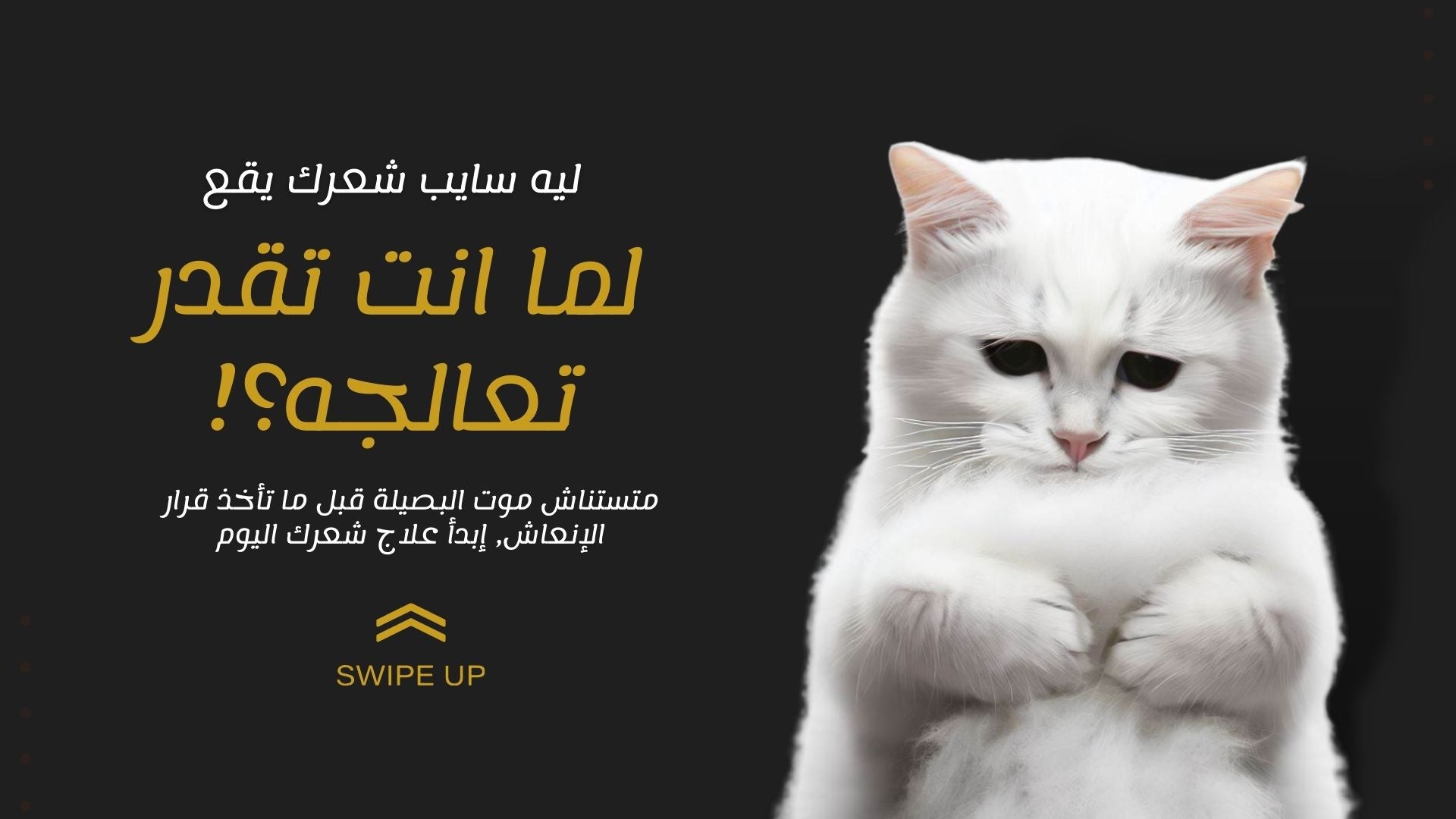 slider image slider_item_g8ip4B